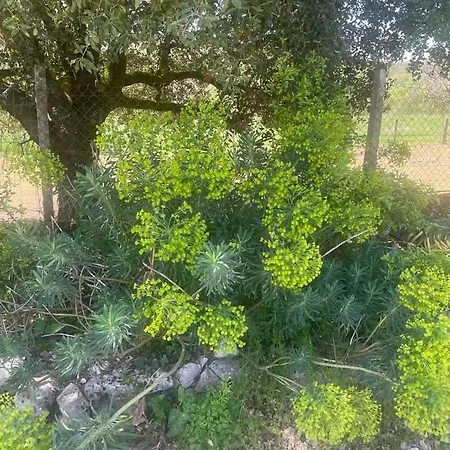 La Vigne, Avec Piscine & Jacuzzi-15 Pers * مارتيل